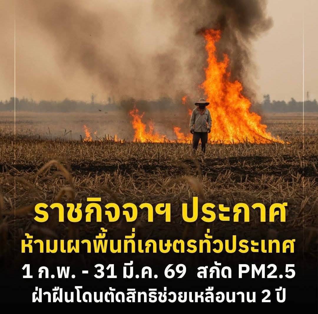 ราชกิจจานุเบกษา ประกาศกระทรวงเกษตรและสหกรณ์   ห้ามเผาพื้นที่เกษตรทั่วประเทศ 1 ก.พ. - 31 มี.ค. 69  ฝ่าฝืนโดยตัดสิทธิช่วยเหลือนาน 2 ปี